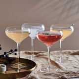 Cheers® Set of 4 Martini Glasses – Mikasa