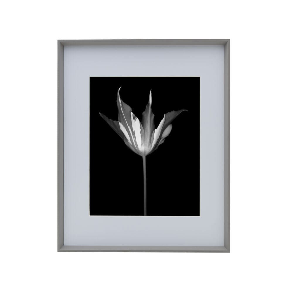 Gray 16 x 20 Gallery Frame, Matted to 11 x 14 – Mikasa